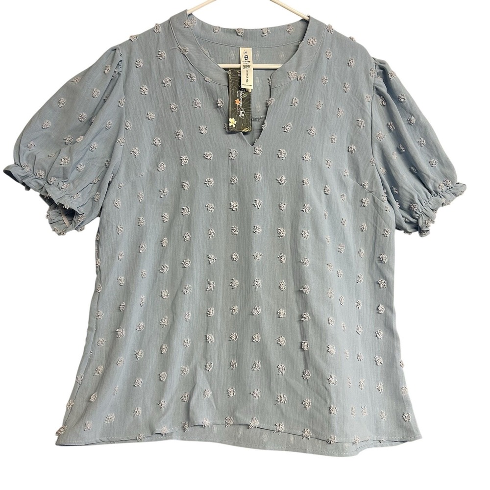Boho Comfy Fairy Pastel Fairy Womens Blouse Shirt XL V Neck Ruffle Tufted Flowy